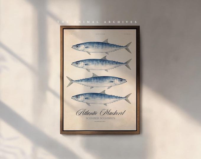 Vintage Coastal Fish Wall Art, Atlantic Mackerel