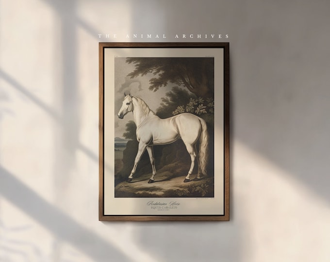 The Andalusian Horse Art Print, by The Poet and The Piper