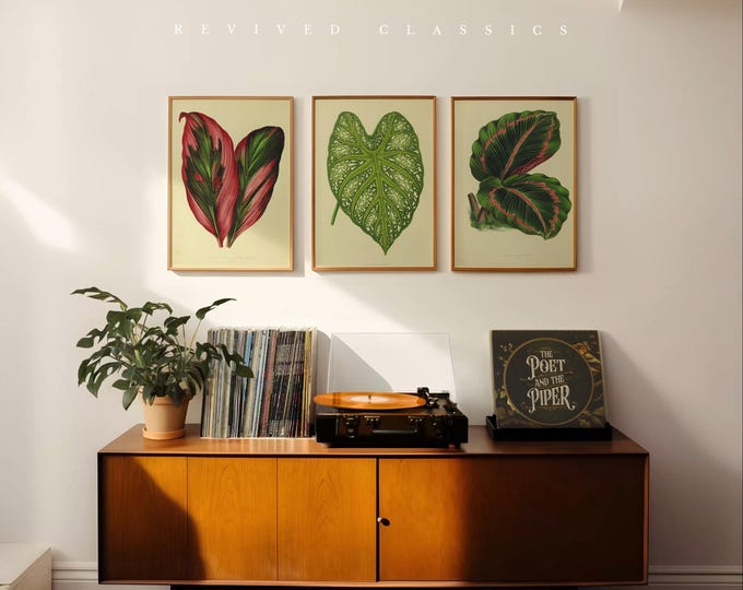 Set of 3 Botanical Leaf Prints, reprint