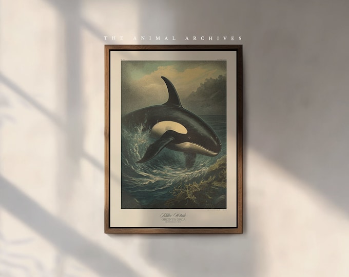 The Orca Art Print, by the Poet and The Piper