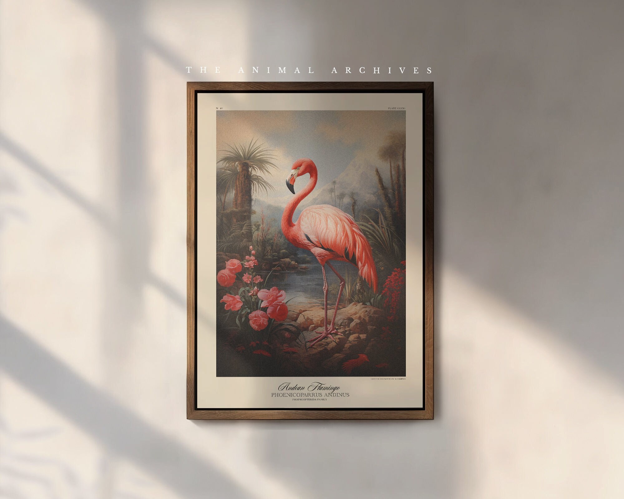 Flamingo species art print A4 –American Flamingo / Lesser Flamingo /  Greater Flamingo / Chilean Flamingo / James's Flamingo /Andean Flamingo