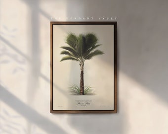 The Phoenix Palm Art Print, by the Poet and The Piper