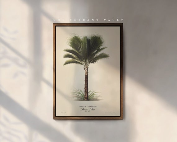 The Phoenix Palm Art Print, by the Poet and The Piper