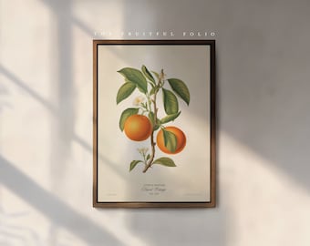 The Navel Orange Print, by the Poet and The Piper.