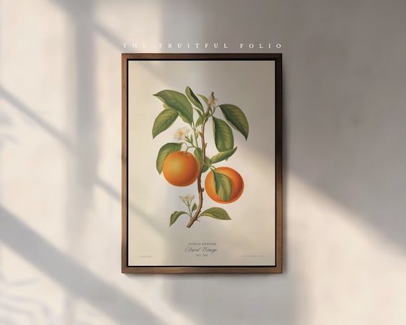 The Navel Orange Print, by the Poet and The Piper.