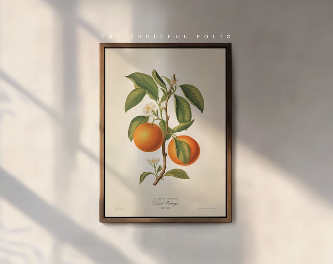 The Navel Orange Print, by the Poet and The Piper.