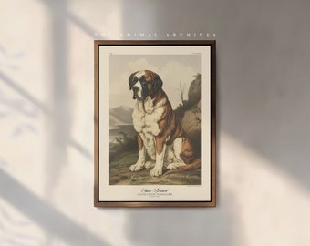 The Saint Bernard Art Print, by the Poet and The Piper