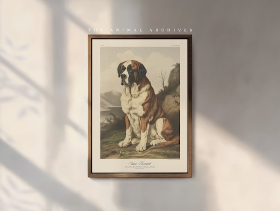 The Saint Bernard Art Print, by the Poet and The Piper
