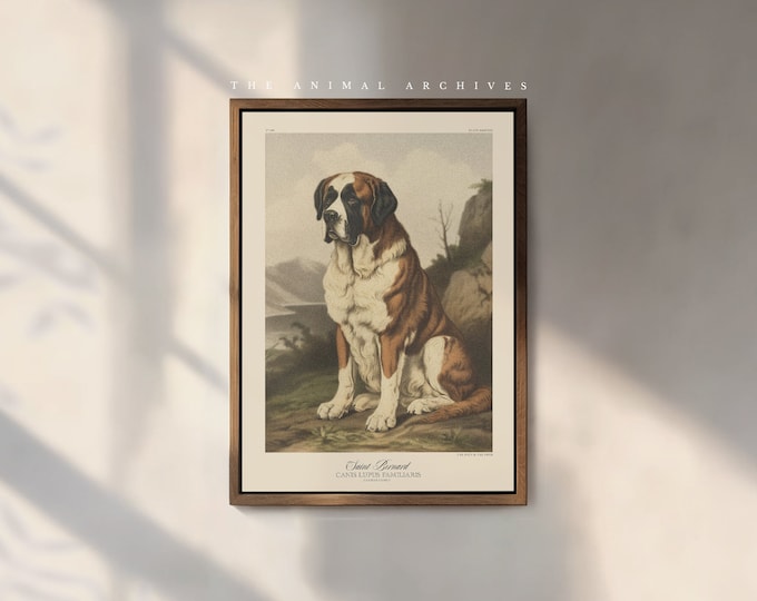 The Saint Bernard Art Print, by the Poet and The Piper