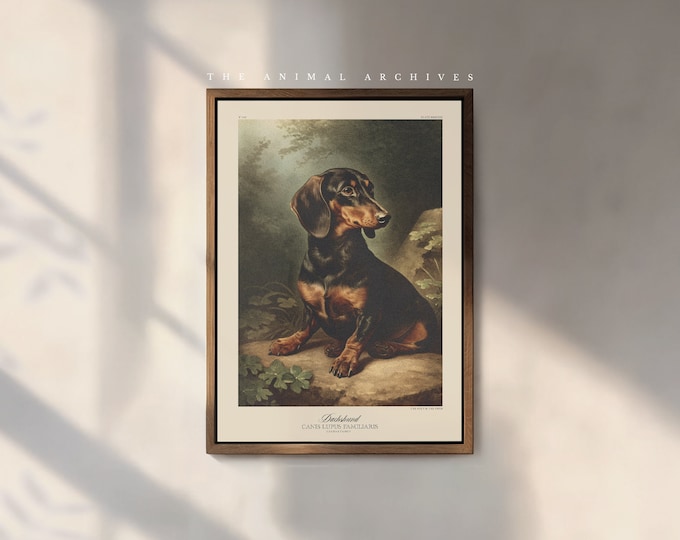 The Dachshund Art Print, by the Poet and The Piper