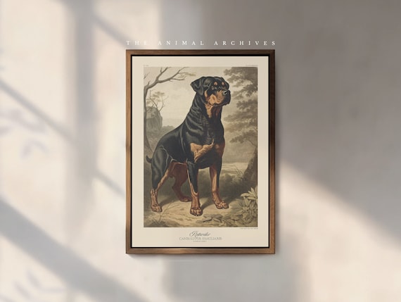 The Rottweiler Art Print, by The Poet and The Piper