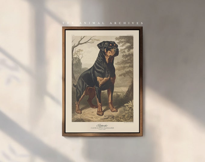 The Rottweiler Art Print, by The Poet and The Piper