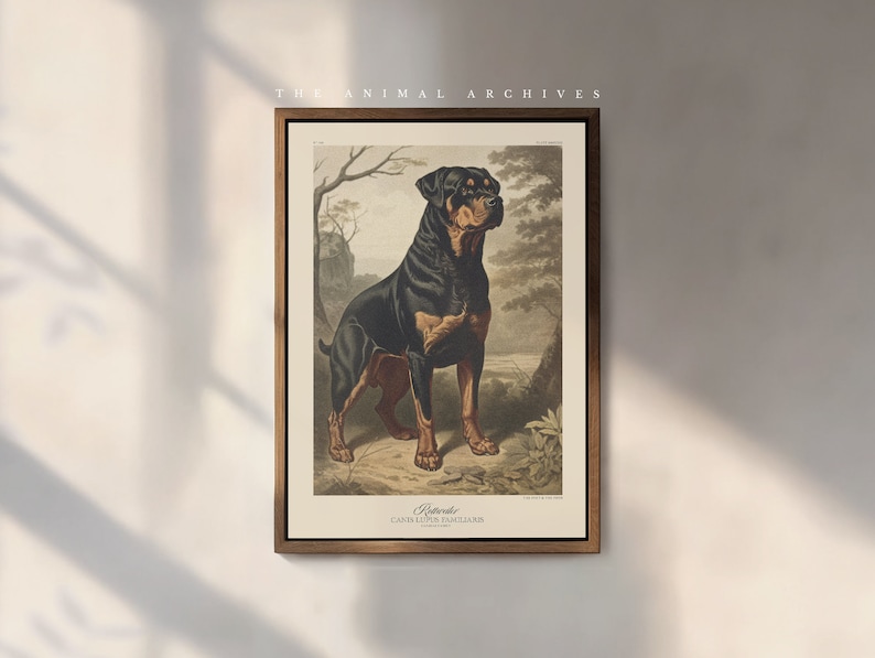 A high-quality artwork of a Rottweiler inspired by Victorian naturalist art. Sharp and crisp print depicts a brown and black dog seated amidst lush green foliage, capturing a lifelike nostalgic feel. Ideal for vintage decor.