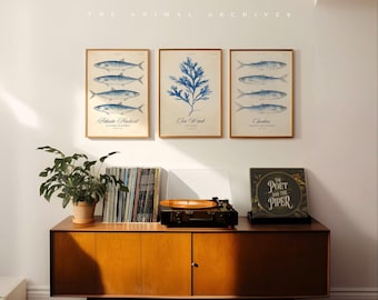 Vintage Coastal Fish Wall Art, Atlantic Mackerel