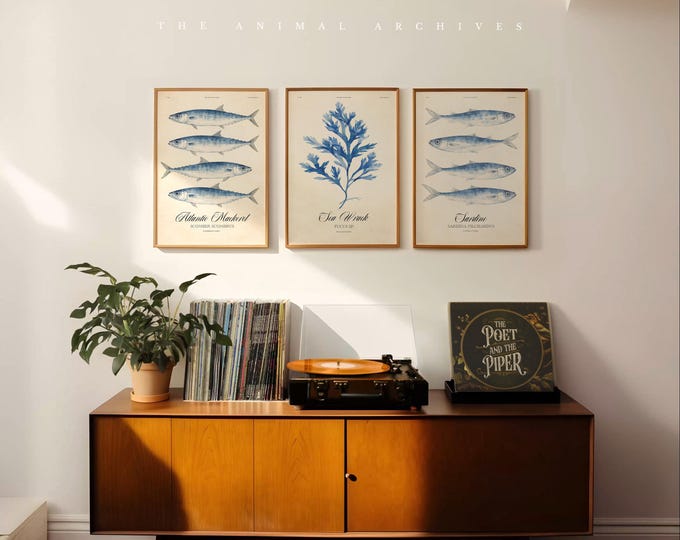 Vintage Coastal Fish Wall Art, Atlantic Mackerel