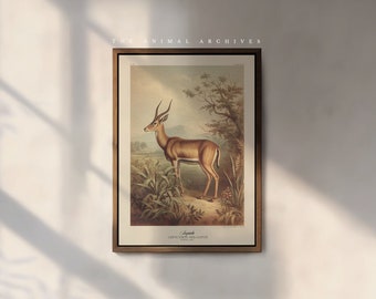 The Impala Art Print, by the Poet and The Piper