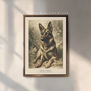 The German Shepherd -  Art Print | Naturalist | Vintage Style | Wall Art | Antique Victorian | Dog Owners | Dog Gift | Pets | Alsatian