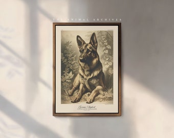 Le berger allemand - Impression d'art | Naturaliste | style vintage | Art mural | Victorien antique | Propriétaires de chiens | Cadeau chien | Animaux de compagnie | alsacien