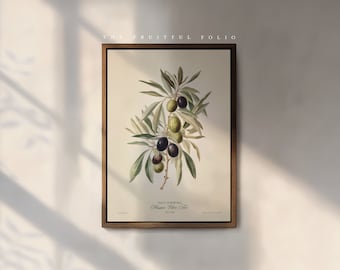 The Olive Tree Art Print, by the Poet and The Piper