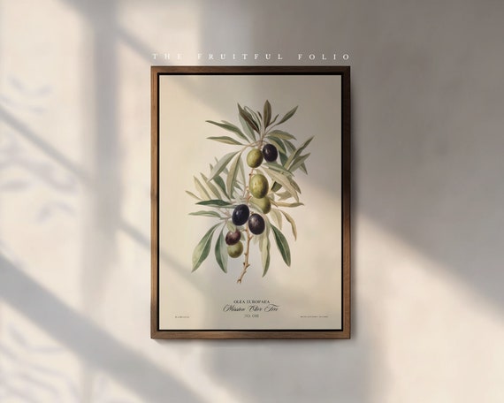 The Olive Tree Art Print, by the Poet and The Piper