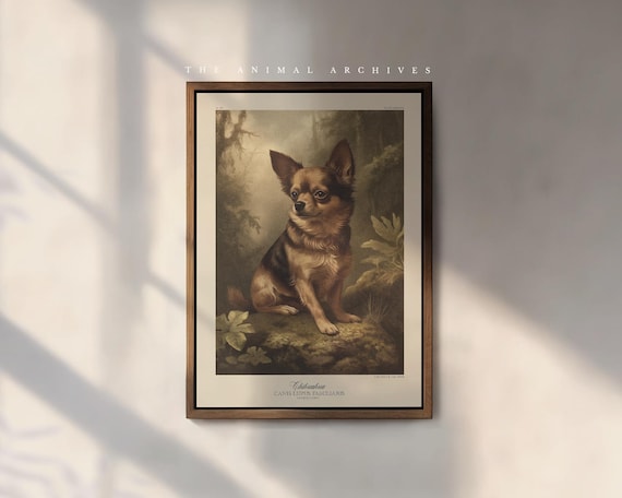 Chihuahua Art Print, by the Poet and The Piper