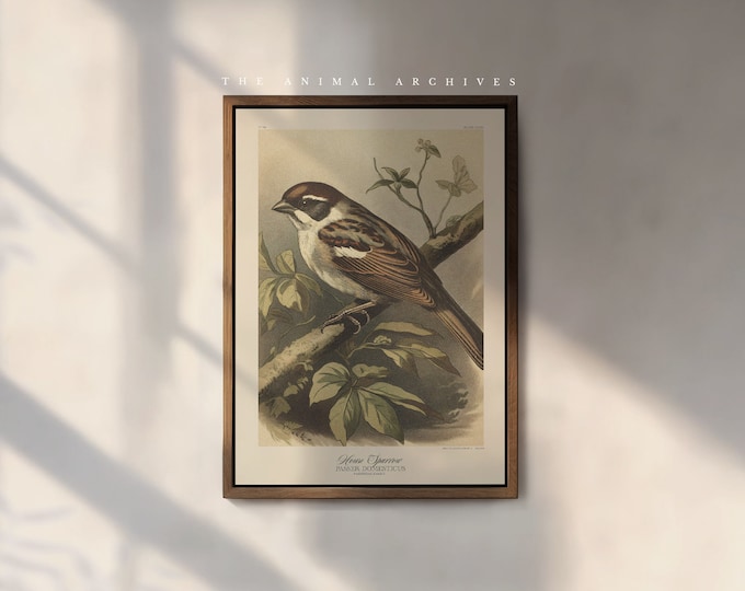 The House Sparrow Art Print, by the Poet and The Piper