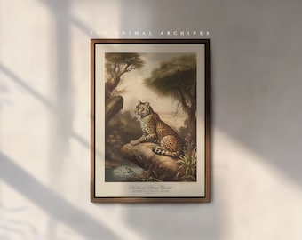 The African Cheetah Art Print, by the Poet and The Piper