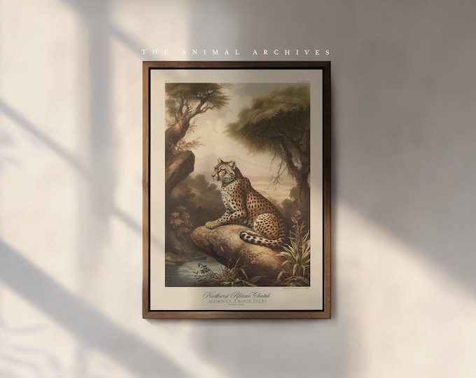 The African Cheetah Art Print, by the Poet and The Piper