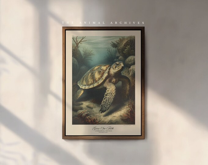 The Green Sea Turtle Art Print, by the Poet and The Piper