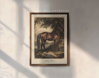 The Arabian Horse Art Print, by the Poet and The Piper