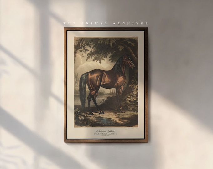 The Arabian Horse Art Print, by the Poet and The Piper