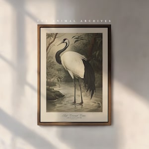 Lámina artística de grulla de corona roja / Naturalista / Estilo vintage / Arte mural / Decoración rústica para el hogar / Inspiración victoriana antigua / Aves del mundo