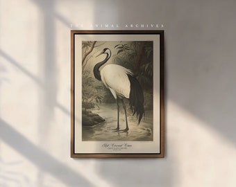 The Red-Crowned Crane Art Print, by the Poet and The Piper