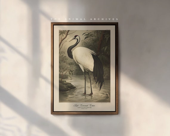 The Red-Crowned Crane Art Print, by the Poet and The Piper