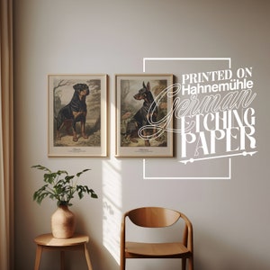 May include: Two framed illustrations of dogs, printed on Hahnem&uuml;hle German Etching Paper. The illustrations are in a vintage style and feature a Doberman Pinscher and a Rottweiler.