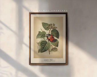 The Ladybird Beetle Art Print, by the Poet and The Piper