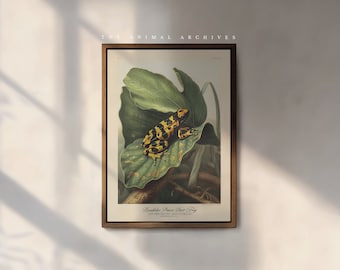 The Bumblebee Poison Dart Frog Art Print, by the Poet and The Piper