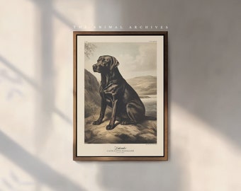 The Labrador Art Print, by the Poet and The Piper