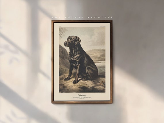 The Labrador Art Print, by the Poet and The Piper