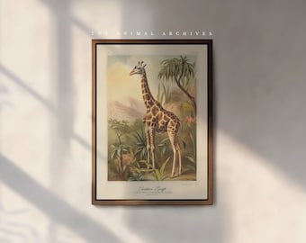 The Southern Giraffe Art Print, by the Poet and The Piper