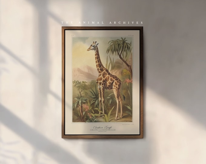 The Southern Giraffe Art Print, by the Poet and The Piper