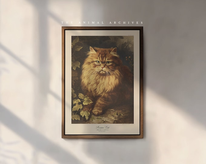 The Persian Cat Art Print, by the Poet and The Piper