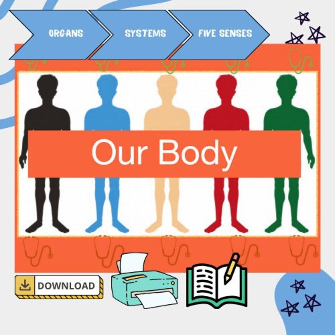 Printable Human Body Systems Science Activity for Preschool Etsy