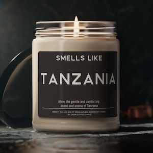 Tanzania Candle Gift Funny Smells Like Tanzania Scented Soy Wax Candle 9oz Candle Gift For Friend