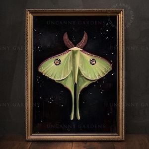 Luna Moth Art Print - Mystical Insect Wall Art, Dark Academia Decor, Green Moth, Gothic Nature Illustration, Whimsical Butterfly Poster 085