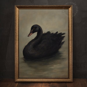 May include: A black swan with a long neck against a dark grey background. The swan is swimming in the water and its head is turned to the side. The painting is framed in a gold frame.