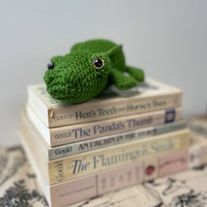 Small Handmade Alligator Crochet Plush