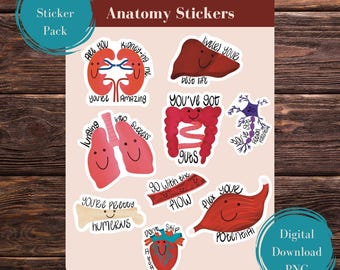 Printable Anatomy Sticker Pun Pack, Digital Download PNG, Cute Hand Drawn Human Body Organ Stickers, Medical Doctor Nurse Student Gift