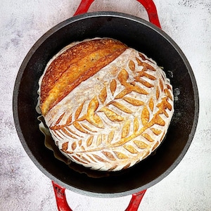 Dehydrated Organic Sourdough Starter