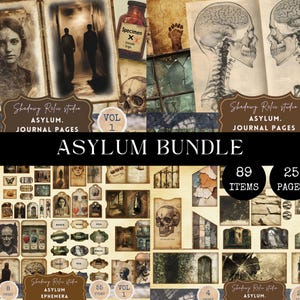 Diario basura Gothic Asylum Papes Páginas de álbum de recortes de efímeras Gothic Macbre Kit de diario basura Dark Goth Journal Folio tríptico 0281 PAQUETE